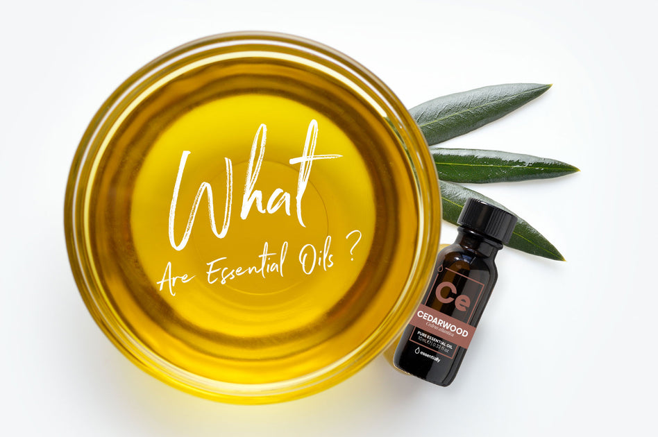 What are essential oils? Essentially