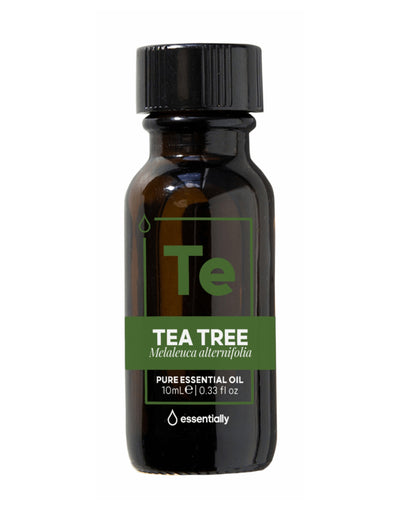 Tea Tree Pure Australian Native Essential Oil - Essentially Co Australia