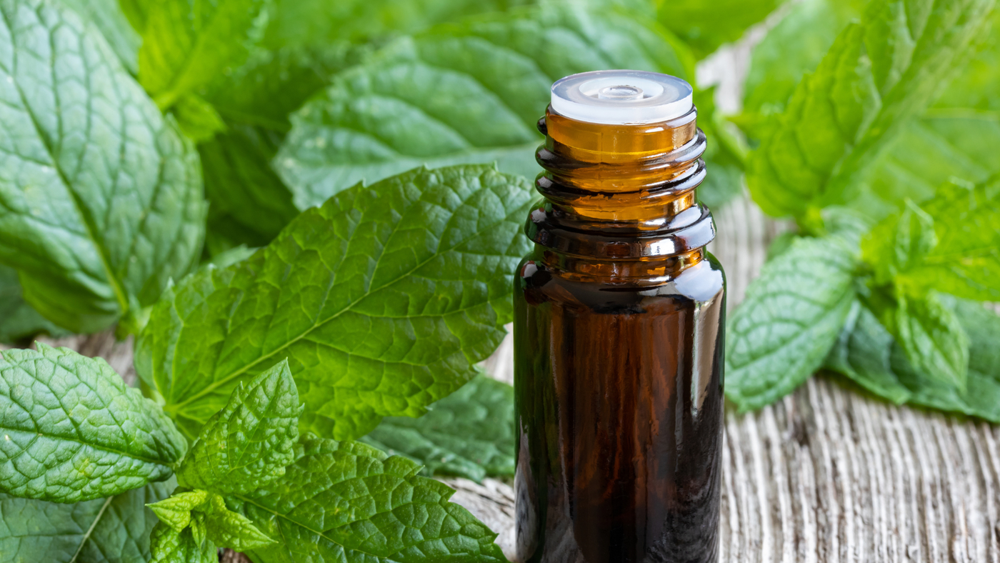 Peppermint Essential Oil Benefits and How to Use It
