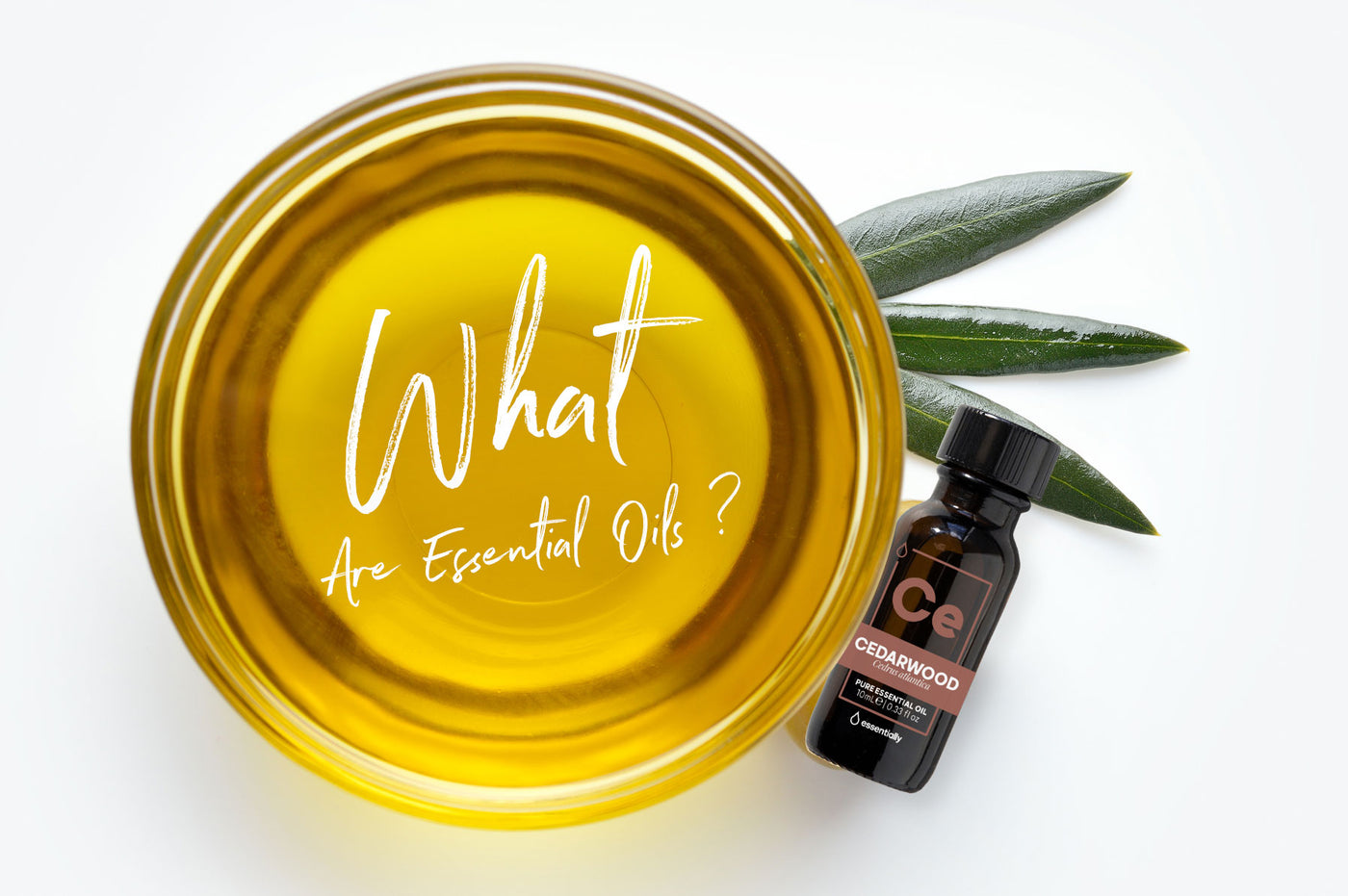 What are essential oils?