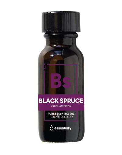 Black Spruce Pure Organic Essential Oil - Essentially Co Australia