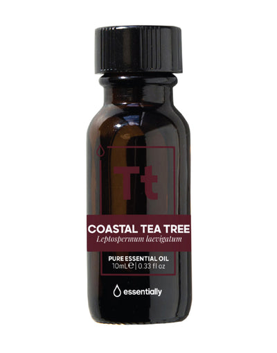 Coastal Tea Tree Pure Australian Native Essential Oil - Essentially Co Australia